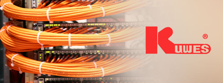 42++ Orange cat6 cable distributors in uae Cat Images [HD]